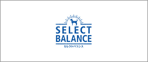 SELECT BALANCE